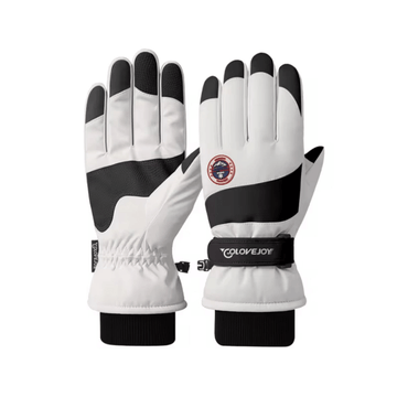Guantes para Nieve y Motociclismo Premium - PREVENTA